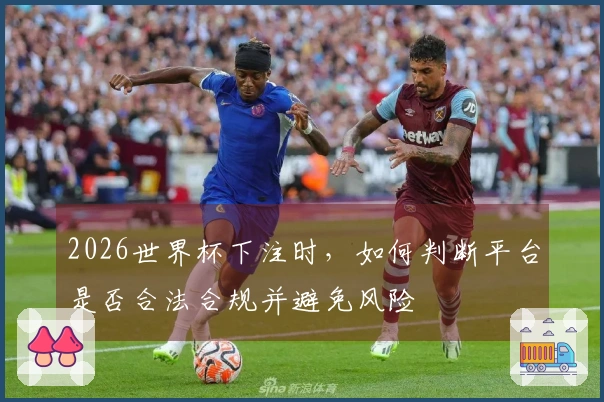 2026世界杯下注时，如何判断平台是否合法合规并避免风险