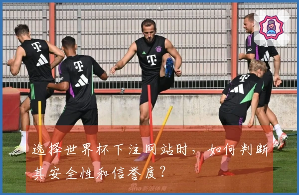 选择世界杯下注网站时，如何判断其安全性和信誉度？