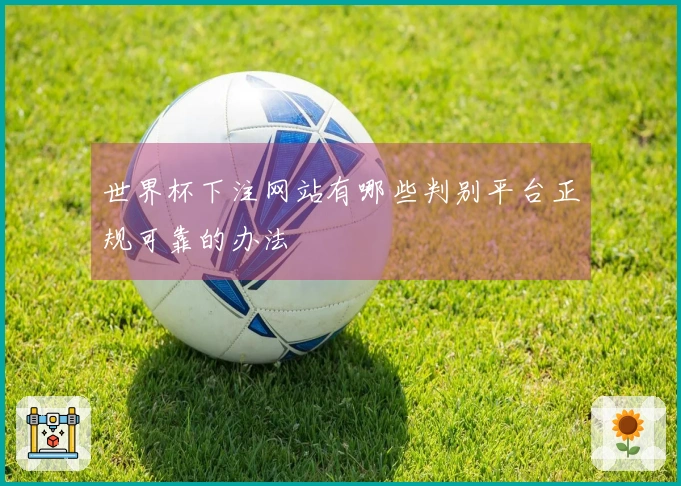 世界杯下注网站有哪些判别平台正规可靠的办法