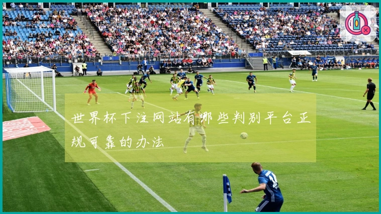 世界杯下注网站有哪些判别平台正规可靠的办法