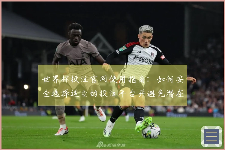 世界杯投注官网使用指南：如何安全选择适合的投注平台并避免潜在风险