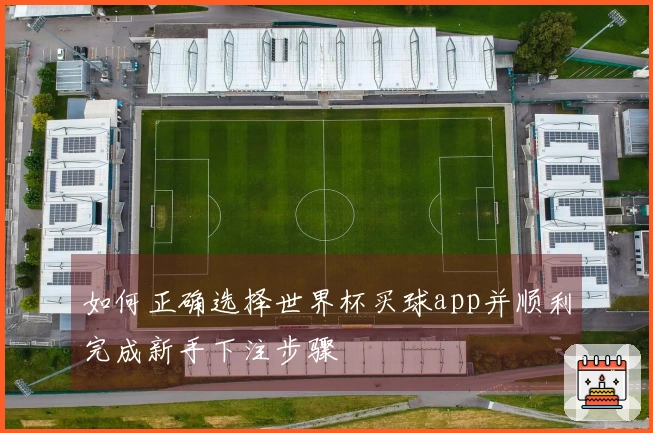 如何正确选择世界杯买球app并顺利完成新手下注步骤