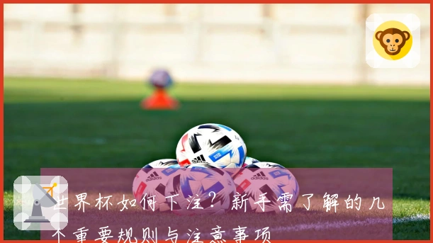 世界杯如何下注？新手需了解的几个重要规则与注意事项