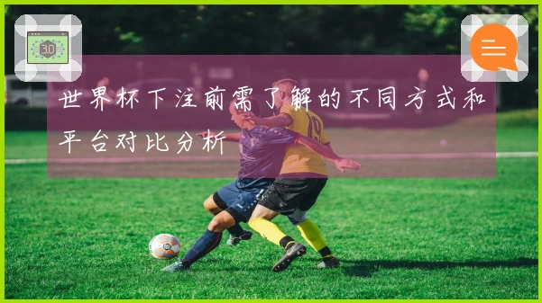 世界杯下注前需了解的不同方式和平台对比分析