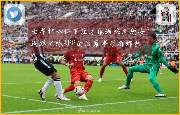 世界杯如何下注才能避坑又稳妥？选择买球APP的注意事项有哪些