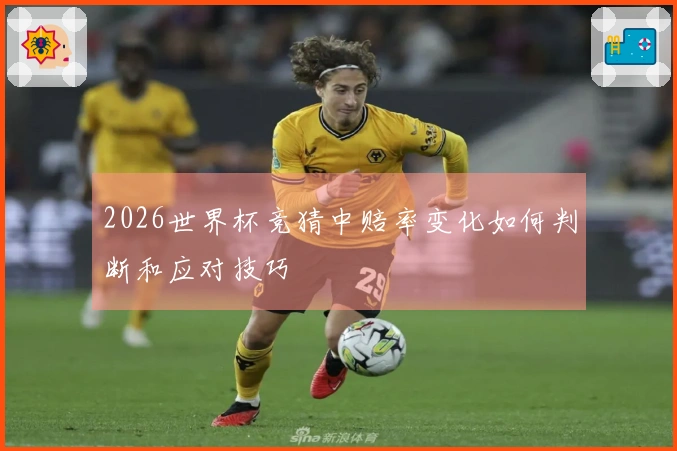 2026世界杯竞猜中赔率变化如何判断和应对技巧